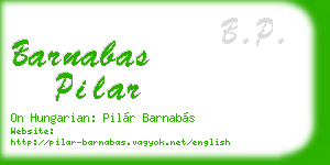 barnabas pilar business card